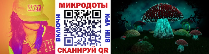 Псилоцибиновые грибы GOLDEN TEACHER  Беломорск 